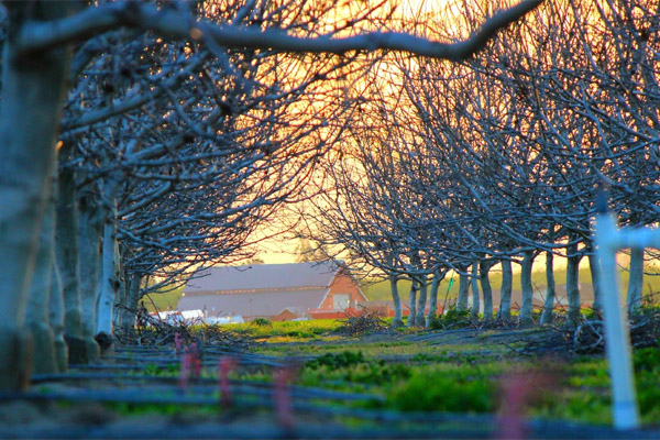 手机号连环呼叫软件