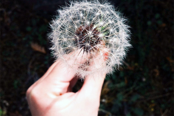 快速定制界面的获取手机号验证码平台